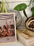 Melanade Stand's Tarot at Goddess Provisions