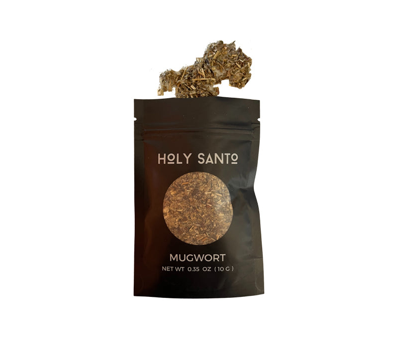 Mugwort Herbs | Holy Santo