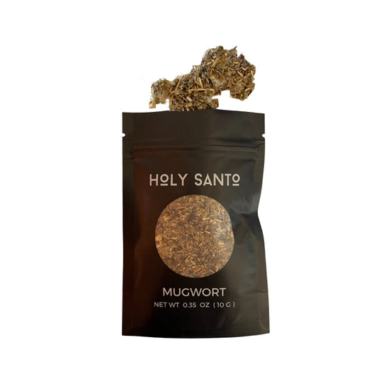 Mugwort Herbs | Holy Santo