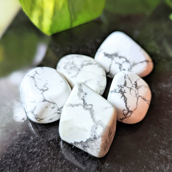 Experience tranquility with the tumbled White Howlite. This soothing crystal supports emotional balance, patience, and spiritual growth, perfect for meditation and healing rituals. Available at Goddess Provisions.